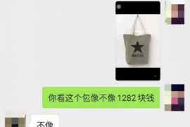 淇县遇到恶意拖欠？专业追讨公司帮您解决烦恼